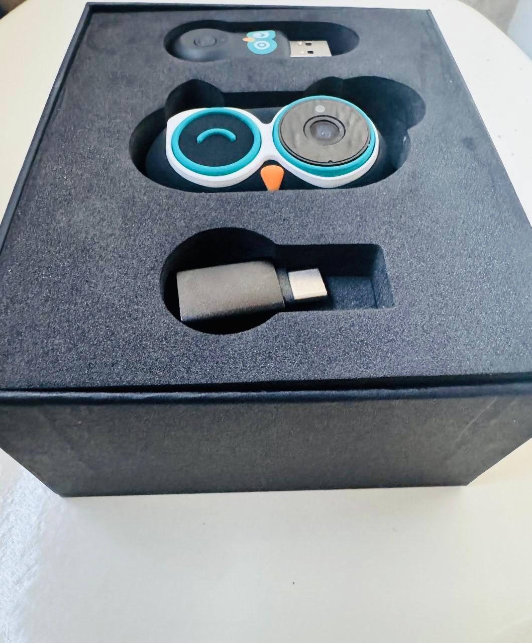 DriveSafe Baby Car Camera